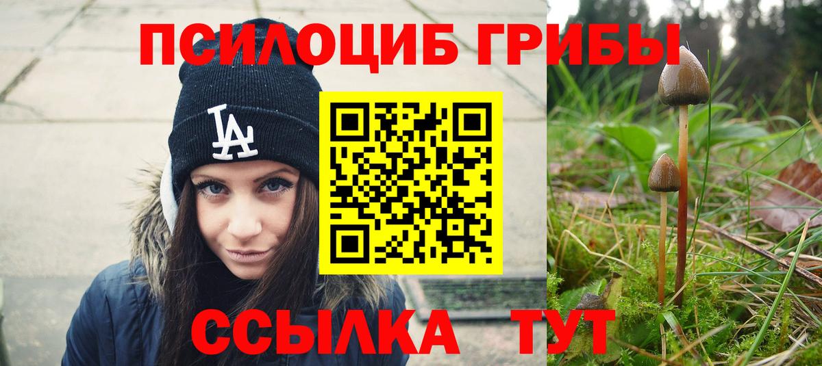 Галлюциногенные грибы Magic Shrooms Новоуральск